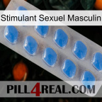 Male Sexual Stimulant 22
